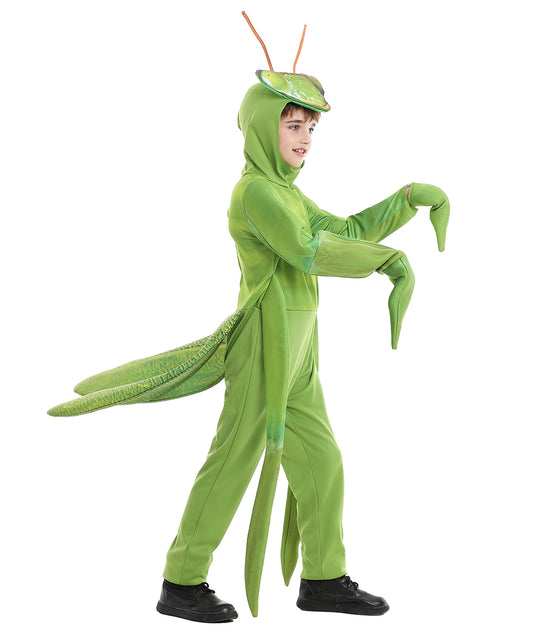 Seasons Child Praying Mantis Costume